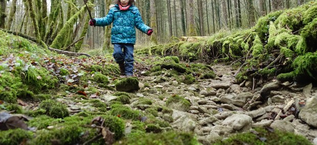 apprendre dans les bois
