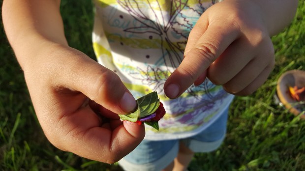 cuisine permaculture enfant 2