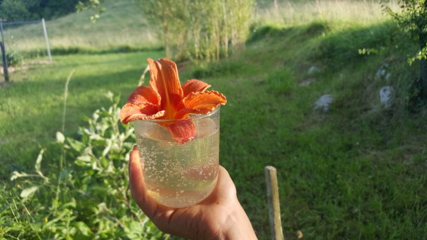 cuisine permaculture enfant 4