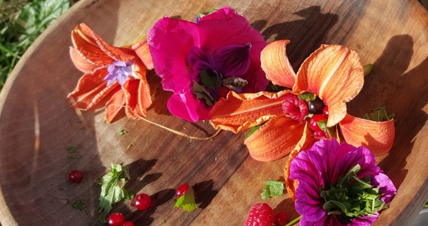 cuisine permaculture enfant 6