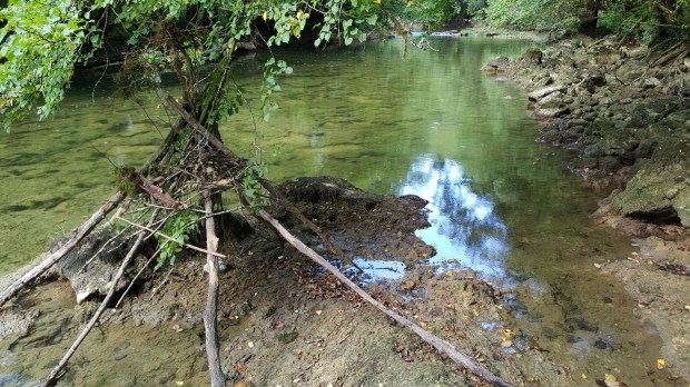 permaculture enfants cabane