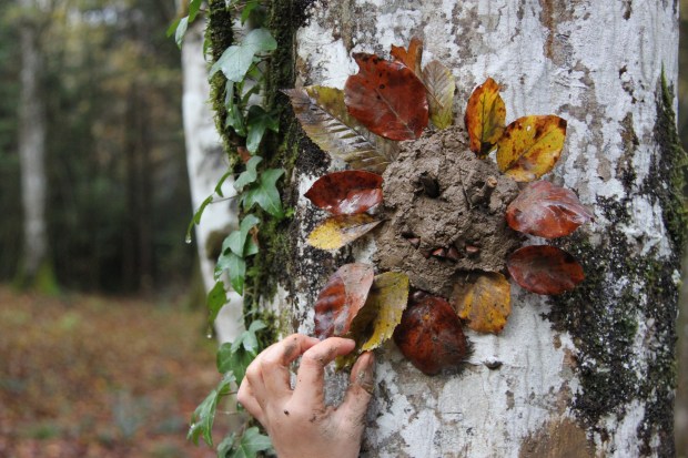 permaculture enfant ecole des bois